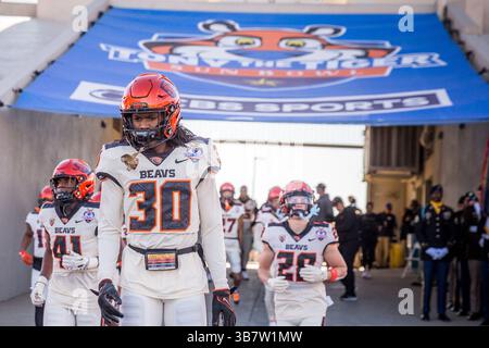 29. Dezember 2023: Spieler der Oregon State Beavers erobern das Feld vor dem NCAA-Football-Spiel im 90. Jährlichen Tony the Tiger Sun Bowl zwischen den Oregon State Beavers und den Notre Dame Fighting Irish im Sun Bowl Stadium in El Paso, Texas. Notre Dame besiegte Oregon State mit 40:8. Prentice C. James/CSM (Foto: © Prentice C. James/CSM via ZUMA Press Wire) Stockfoto