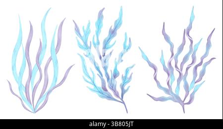 Set von Blauviolett-Algen. Aquarellabbildungen. Pflanzen der Meeresflora. Meeresklipart von Unterwasserpflanzen. Handgezeichnete isolierte Kunst. Für Meeresmotive Stockfoto