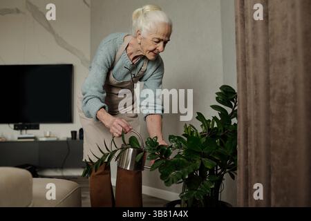 Ältere Frau, Die Pflanzen In Innenräumen Mit Einer Gießkanne Bewässert Stockfoto