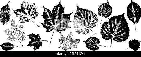 Schwarz-weiße Silhouetten verschiedener Blätter auf weißem Hintergrund. Botanisches Konzept, das Natur und Einfachheit betont Stock Vektor