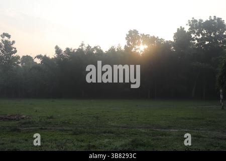 Die Sonne scheint durch einen dichten Wald auf ein pulsierendes grünes Feld und erzeugt ein Spiel aus Licht und Schatten. Der frühe Morgennebel trägt zur friedlichen ländlichen Szene bei Stockfoto