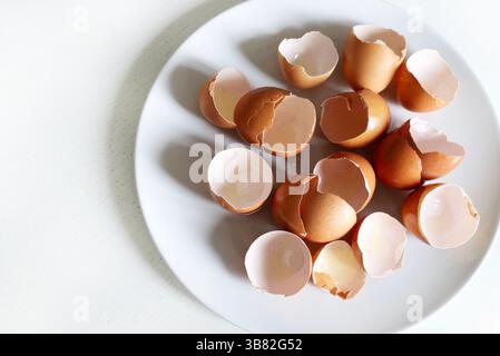 Gruppe gebrochener Eierschalen in einer weißen Platte, isoliert auf weißem Tisch. Direkt darüber. Stockfoto