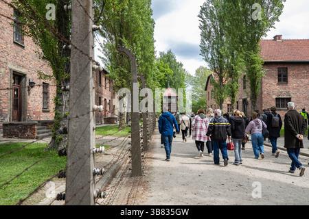 (250507) -- KRAKAU, 7. Mai 2025 (Xinhua) -- Menschen besuchen am 6. Mai 2025 die ehemalige Stätte des Konzentrations- und Vernichtungslagers Auschwitz Birkenau in Südpolen. Das Konzentrations- und Vernichtungslager Auschwitz Birkenau wurde 1940 von den deutschen Nazis in den Vororten der polnischen Stadt Oswiecim, 300 km von der Hauptstadt Warschau entfernt, eingerichtet. Mit über 40 Lagern und Unterlagern war es das größte der über 1.000 Konzentrationslager, die das Dritte Reich während des Zweiten Weltkriegs errichtet hatte. Dort wurden mindestens 1,1 Millionen Menschen getötet. Das Lager war libe Stockfoto