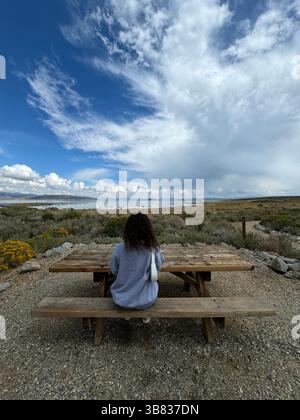 Mädchen sitzt an einem Campingtisch mit Blick auf einen Mono-See an einem sonnigen Tag, vertikales Foto Stockfoto
