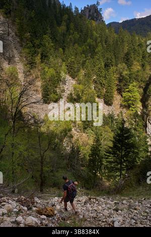Ein Mensch, der eine felsige Bergschlucht mit dichtem Wald und steilen Hängen absteigt Stockfoto
