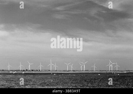 Wenig Cheyne Gericht Windpark auf Romney Marsh, Kent, England Stockfoto