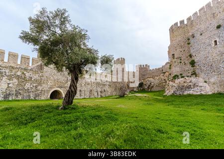 Historische Steinbefestigung inmitten grüner Natur mit einem einsamen alten Baum Stockfoto