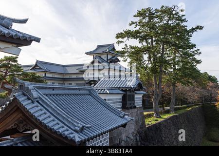 Traditionelle japanische Burgarchitektur im Kanazawa Castle mit mehrschichtigen Dächern, befestigten Steinfeldern und grünen Kiefern am äußeren Rand Stockfoto