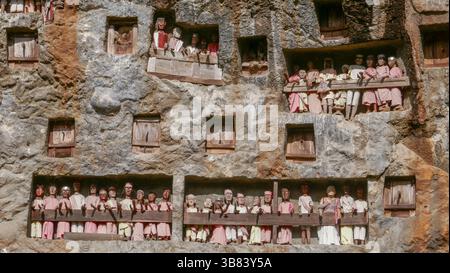 Blick auf die Felsenklippe mit Tau Tau oder hölzernen Abbildungen der Verstorbenen, die ihre Gräber bewachen, Lemo traditionelles Dorf, Tana Toraja, Sulawesi, Indonesien Stockfoto
