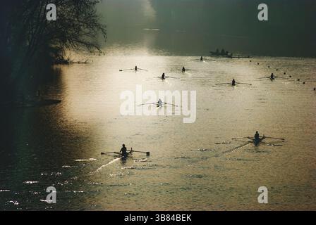 Ein ruhiger Wintermorgen auf dem Fluss Po, mit einem leichten Nebel über dem Wasser. Eine Kanu-Regatta findet im sanften, goldenen Licht der Morgendämmerung statt Stockfoto