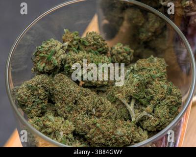 Eine Weiße Witwe Hanf Marihuana Gras blüht in Frankreich Provence Straßenmarkt Detail Stockfoto