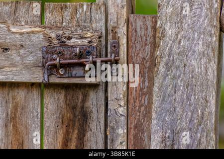 Ein alter rostiger Fassbolzen, der eine verwitterte Holztür eines Landhauses in den östlichen Andenbergen Zentral-Kolumbiens sichert Stockfoto