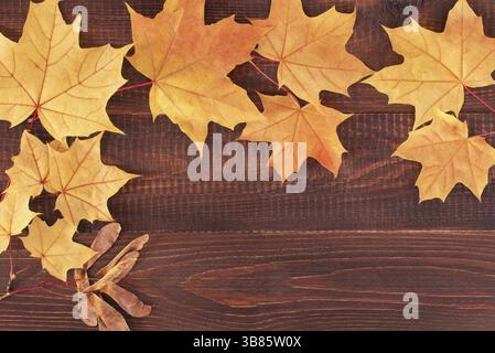 Gelbe Herbstahornblätter auf dunkelbraunem hölzernem Hintergrund mit Kopierraum Stockfoto