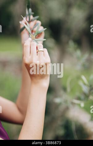 Die Hände der Braut halten einen grünen Zweig eines Baumes. Nahaufnahme. Stockfoto