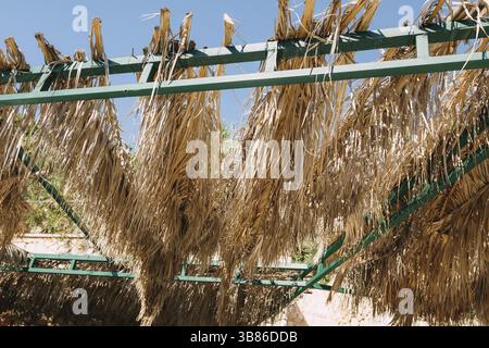 Braune Palmblätter hängen auf der Metallabdeckung. Stockfoto