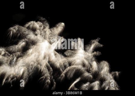 Wunderschönes buntes Feuerwerk am schwarzen Himmel Stockfoto