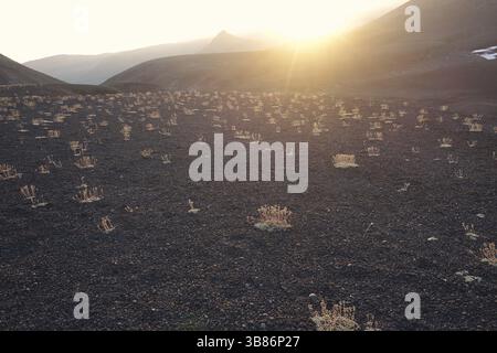 Eine faszinierende Reise in das Land der Geysire und Vulkane in Kamchatka, Wandern vom Fluss Shumnaya zum Vulkan Avachinsky Stockfoto