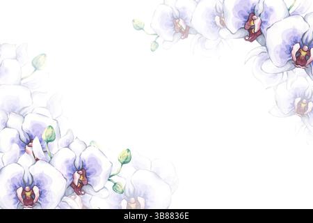 Orchideenrahmen in weiß und Blau. Handgezeichnete Illustration mit luftigen exotischen Blüten und Knospen. Zarte Blumenarrangements. Perfekt für Stockfoto