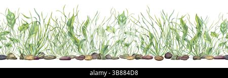 Unterwasser-grüne Seetang auf Kieselsteinen Aquarell horizontales nahtloses Banner isolierter Hintergrund. Meerespflanzen, Gras, Steine für Aquariendekor Stockfoto