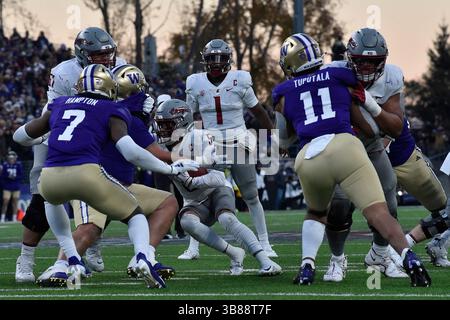 25. November 2023: Der Wide Receiver Lincoln Victor (5) der Washington State Cougars spielt den Ball während des NCAA-Fußballspiels zwischen den Washington State Cougars und den Washington Huskies im Husky Stadium in Seattle, WA. Washington besiegte den Staat Washington mit 24:21. Steve Faber/CSM (Foto: © Steve Faber/CSM via ZUMA Press Wire) Stockfoto