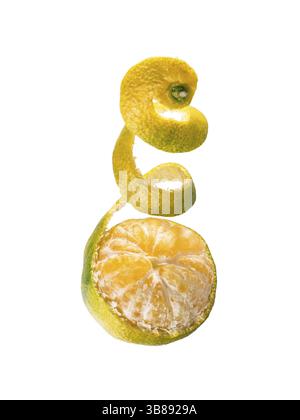 Frische reife grüne Mandarine mit Spiralschale. Halb geschälte grüne Mandarine isoliert auf weißem Hintergrund mit Beschneidungspfad Stockfoto