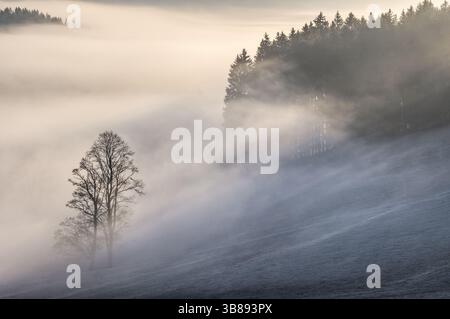 Nebeliges Seitental des Jostals im Schwarzwald am frühen Morgen Stockfoto