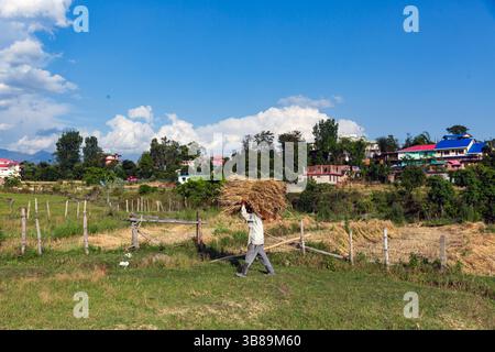 14. Mai 2021, Mandi, Himachal Pradesh, Indien: Ein Bauer, der einen Sack mit Weizenernte für die Verdrängung trägt, als sich Regenwolken im Hintergrund auf der Dhauladhar Range in der Nähe von Palampur ansammelten. (Bild: © Shailesh Bhatnagar/ZUMA Press Wire) Stockfoto