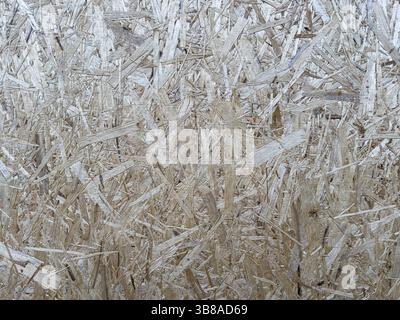Nahaufnahme der OSB-Oberfläche (Oriented Strang Board) mit sichtbaren Holzflocken und Faserstruktur. Keine Personen. Ideal für Hintergründe und Materialdesign. Stockfoto