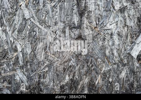 Nahaufnahme von strukturierter orientierter Strangplatte (OSB) in verwitterten Grautönen. Raues Holzspäne-Muster. Keine Personen. Geeignet als Hintergrund oder Industriedesign Stockfoto