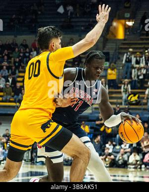 29. Dezember 2023 Berkeley, CA USA Arizona Center Oumar Ballo (11) geht in den Korb während des NCAA Men's Basketball Spiels zwischen Arizona Wildcats und den California Golden Bears. Arizona schlug Kalifornien100-81 im Haas Pavilion Berkeley Kalifornien Thurman James/CSM (Foto: © Thurman James/CSM via ZUMA Press Wire) Stockfoto