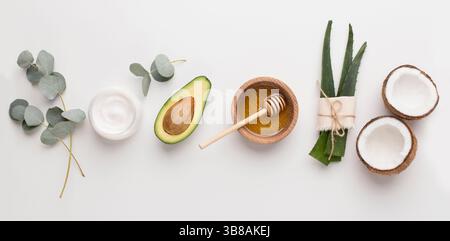 Medizinische Pflanzen in alternative Kosmetologie verwendet: Aloe, Honig, Kokosnuss Stockfoto