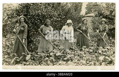 Postkarte aus der Zeit des 1. Weltkriegs mit einer Gruppe von Landarmee-Mädchen, die Kohl hintereinander hacken. Landmädchen. Circa 1915, Großbritannien Stockfoto