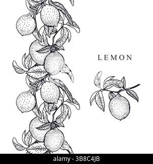 Schwarze Tinte mit nahtlosem Rand für Zitronen. Früchte und Blätter. Handgezeichnete Vektorgrafik. Für Lebensmittel- und Kosmetiketiketten, Marmelade, Limonade, Cove Stock Vektor