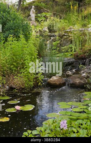 Teich mit malvenfarbenen Eichornia crassipes - Wasserhyazinthe und Nymphaea - Wasserlilien, Typha latifolia - gemeine Katzenschwänze im Garten im Sommer. Stockfoto