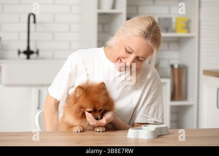 Reife Frau füttert süßen Pommerschen Hund am Tisch in der Küche Stockfoto