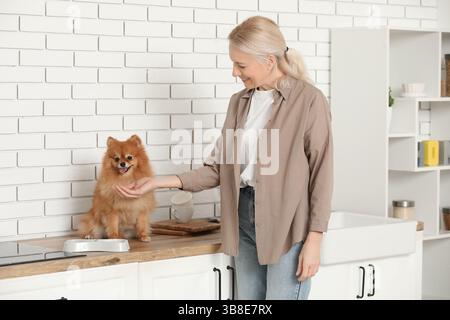 Reife Frau füttert süßen Pommerschen Hund auf der Theke in der Küche Stockfoto