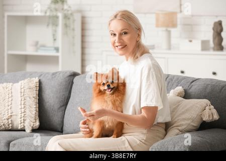 Reife Frau füttert süßen Pommerschen Hund auf Sofa zu Hause Stockfoto