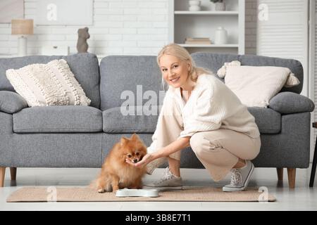 Reife Frau, die zu Hause süßen Pommerschen Hund füttert Stockfoto