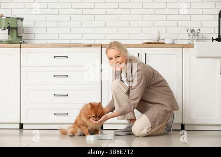 Reife Frau füttert süßen Pommerschen Hund in der Küche Stockfoto