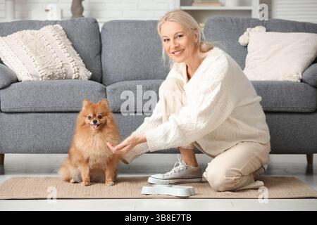 Reife Frau, die zu Hause süßen Pommerschen Hund füttert Stockfoto