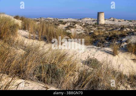 23. September 2022, Huelva, Spanien: Turm Torre Carbonero im Nationalpark Parque Nacional de DoÃ±ana, Almonte, Provinz Huelva, Region Andalusien, Spanien, Europa...Carbonero Tower, der majestätischste der Almenara Towers in MatalascaÃ±AS. Es liegt auf halbem Weg zwischen MatalascaÃ±AS und der Mündung des Guadalquivir und ist von kilometerlangen unberührten Stränden umgeben. (Bild: © Sergi Reboredo/ZUMA Press Wire) Stockfoto