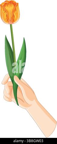 Vektor-Illustration einer Hand, die eine orangefarbene Tulpe hält. Klare Linien, helle Farben und minimalistischer Stil Stock Vektor