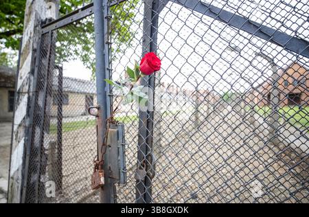 (250508) -- PEKING, 8. Mai 2025 (Xinhua) -- dieses am 6. Mai 2025 aufgenommene Foto zeigt einen Blick in das ehemalige Konzentrations- und Vernichtungslager Auschwitz Birkenau in Südpolen. Das Konzentrations- und Vernichtungslager Auschwitz Birkenau wurde 1940 von den deutschen Nazis in den Vororten der polnischen Stadt Oswiecim, 300 km von der Hauptstadt Warschau entfernt, eingerichtet. Mit mehr als 40 Lagern und Unterlagern war es das größte der mehr als 1.000 Konzentrationslager, die das Dritte Reich während des Zweiten Weltkriegs errichtete 1,1 Stockfoto