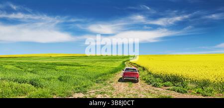 Ländliche Landschaft mit rotem Auto, das auf unbefestigten Straßen zwischen blühenden Rapsfeldern fährt Stockfoto