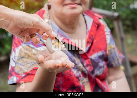 Reife Frauenhand hilft Seniorin mit Hörgerät im Freien. Nahaufnahme, differenzierter Fokus. Konzept der helfenden Hand. Stockfoto