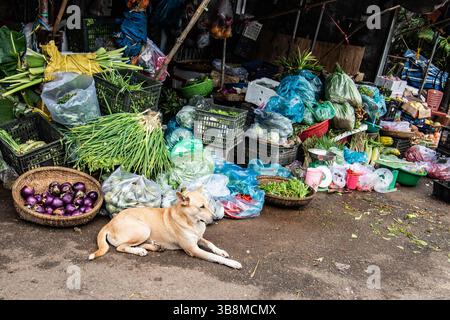 Lebensmittelmarktstand in Vietnam Stockfoto