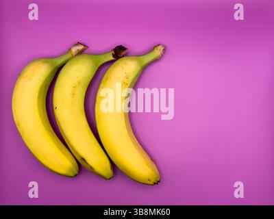 Drei gelbe Bananen auf violettem Hintergrund Stockfoto