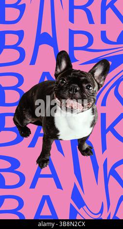 Poster. Zeitgenössische Kunstwerke. Die französische Bulldogge lächelt mit der Zunge vor rosa Hintergrund und verdrehten blauen BELL-Buchstaben. Stockfoto