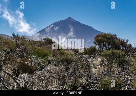 Beeindruckender Gipfel des Teide mit zerklüfteten vulkanischen Hängen und klarem blauen Himmel im Hintergrund im Teide Nationalpark Teneriffa Spanien an Einem sonnigen Tag Stockfoto
