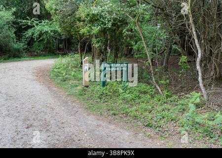 Radweg nach Frogham vom Dorf Fritham im New Forest, Hampshire, England, Großbritannien Stockfoto